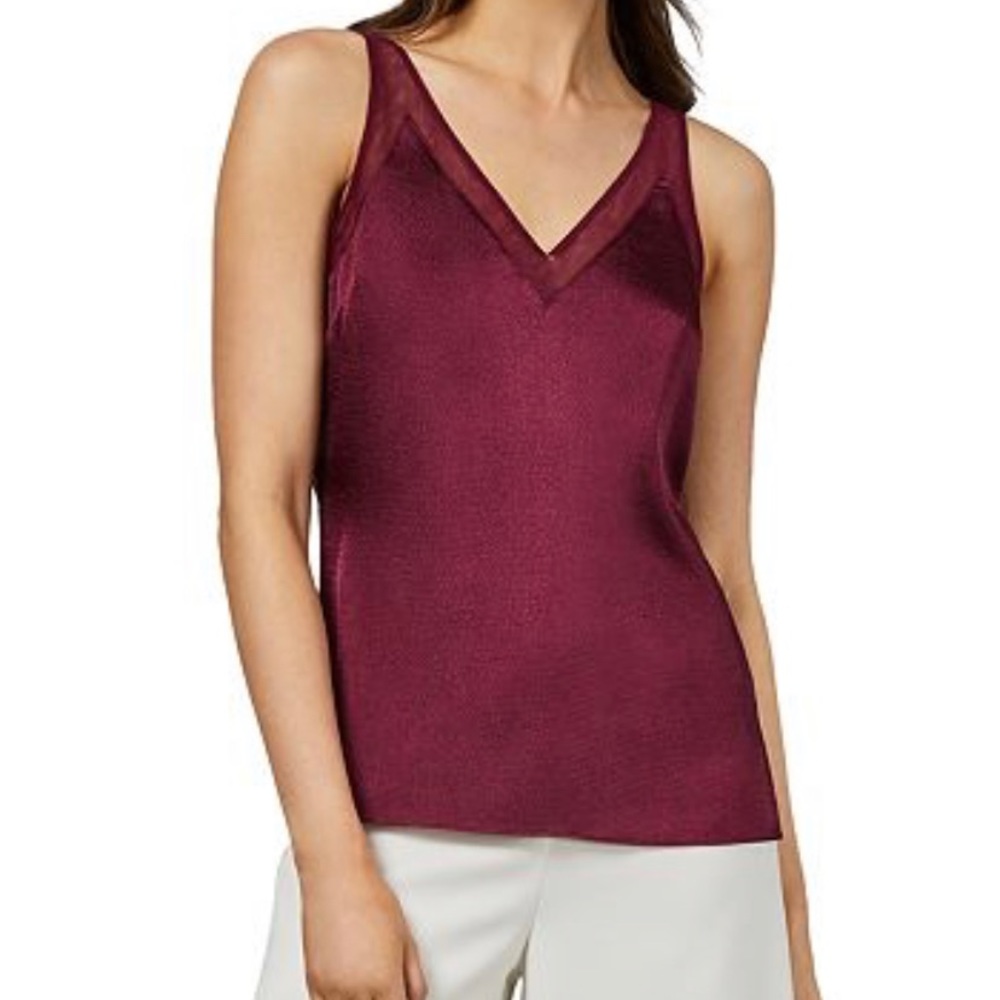 Ted Baker Vneck Mesh Top